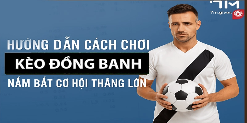 Theo dõi xu hướng cá cược thời điểm đó